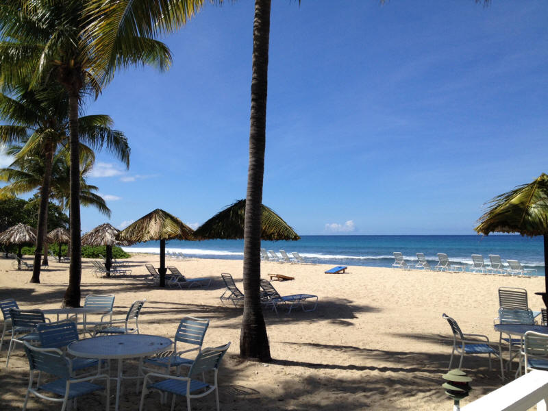 Gentle Winds beach and Palm trees.